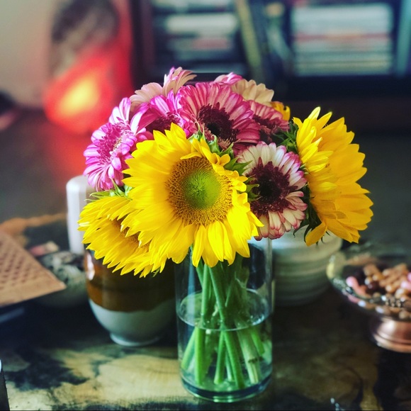 Meet your Posher, Coral - Picture 1 of 1